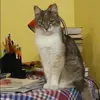 Отзыв от Анастасия Зайцева